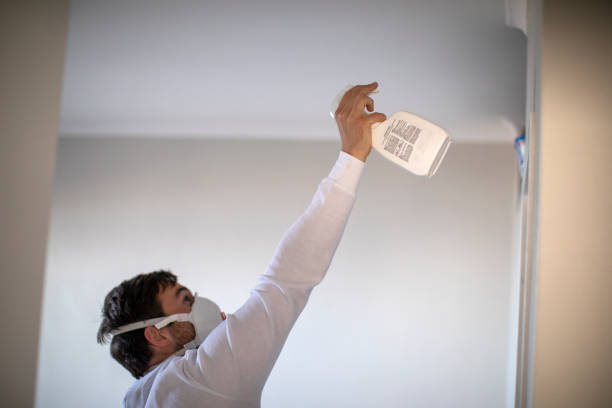 Best Affordable Mold Removal  in Buckhorn, CA