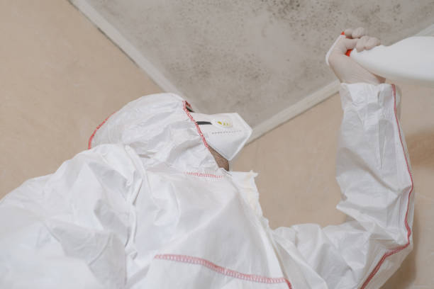 Best Mold Testing  in Buckhorn, CA
