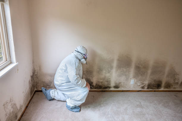 Best Mold Testing  in Buckhorn, CA